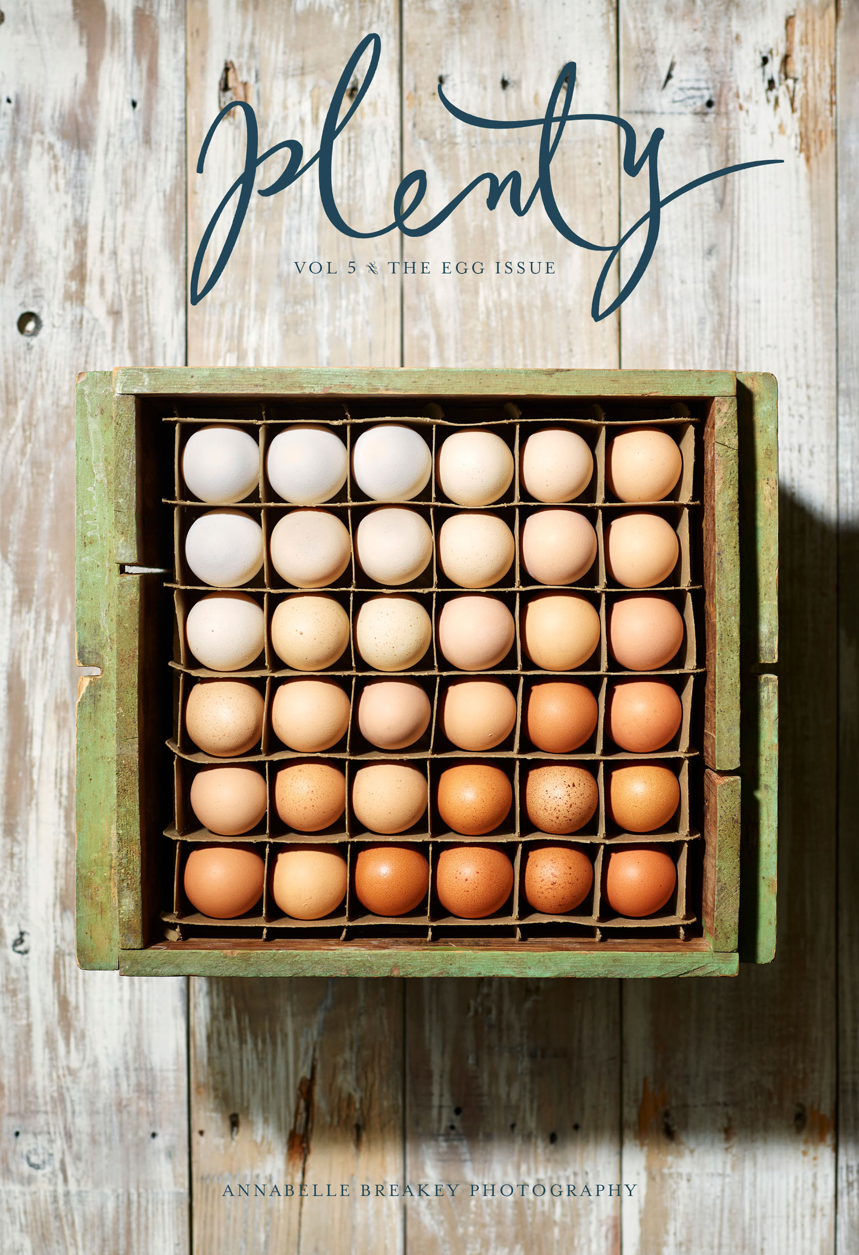 Plenty_Eggs_vs1b_DS-1