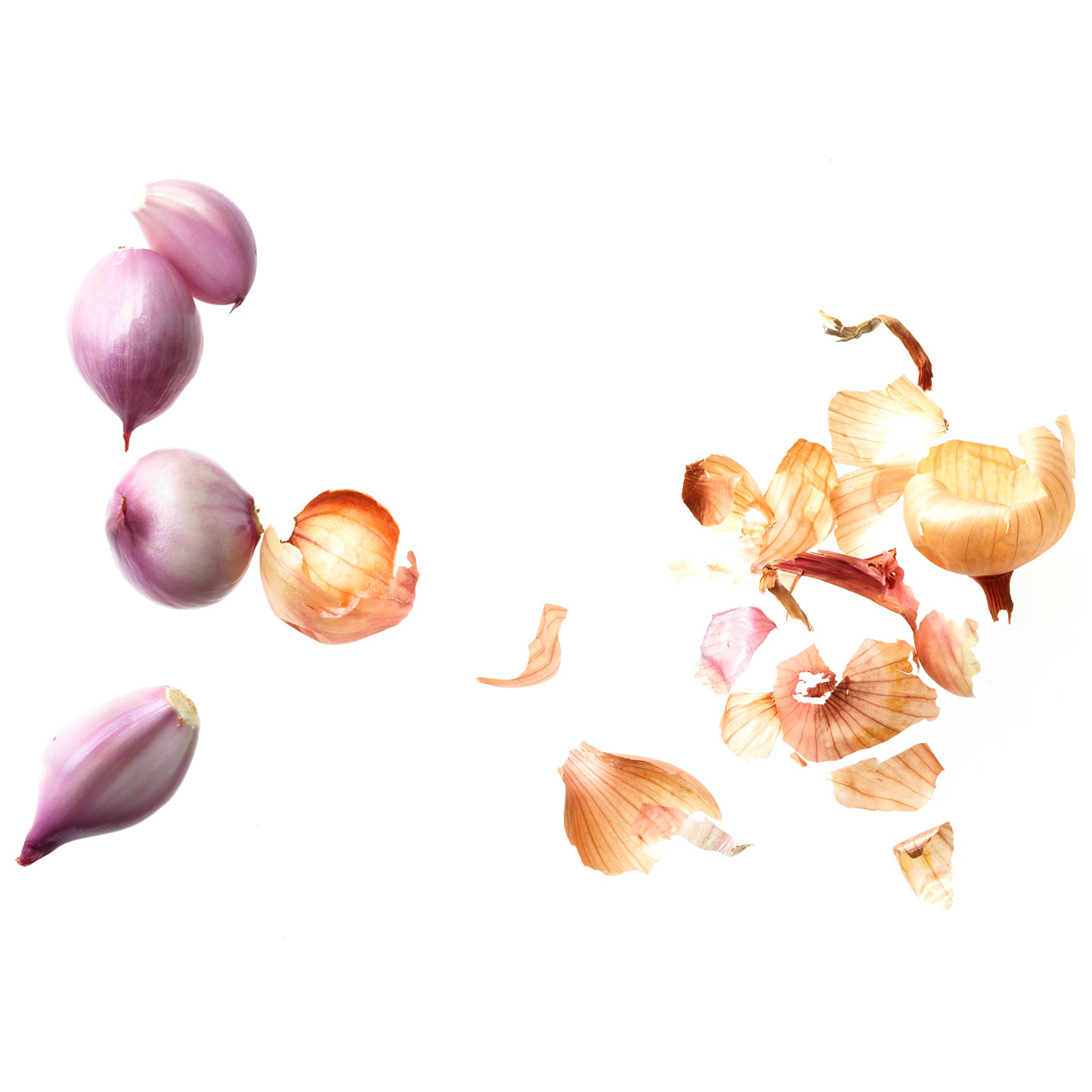 abreakey-onwhite-foodphotographer-onwhite-shallots